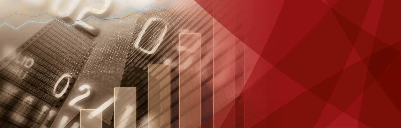 Introducing the client advisory - Retail and Private Banking